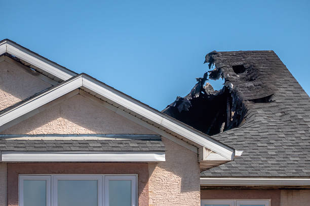 Top rated local Odor Removal specialists in Buckingham, PA